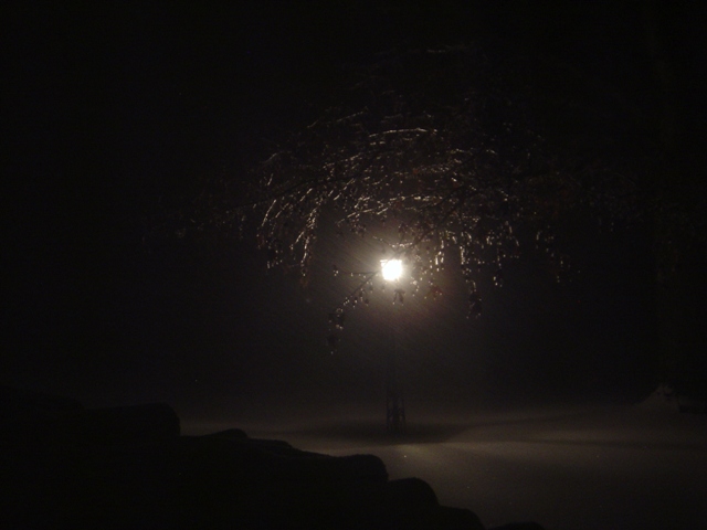 A glimpse out the front door over the dark, icy yard.