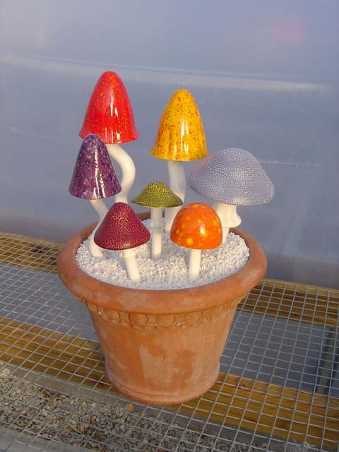 More mushrooms designed by Amy Cross.