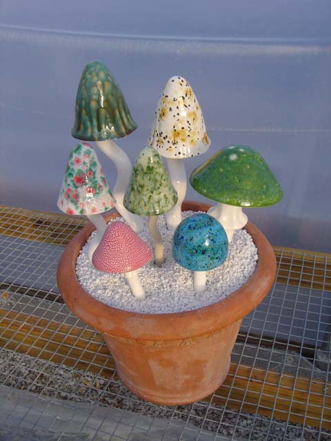 More mushrooms designed by Amy Cross.