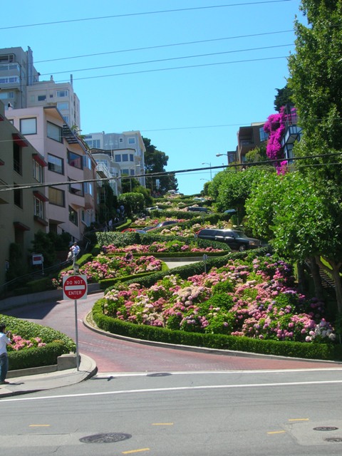 Beautiful hydrangeas and bouganvilleas line a landmark in San Fransisco.