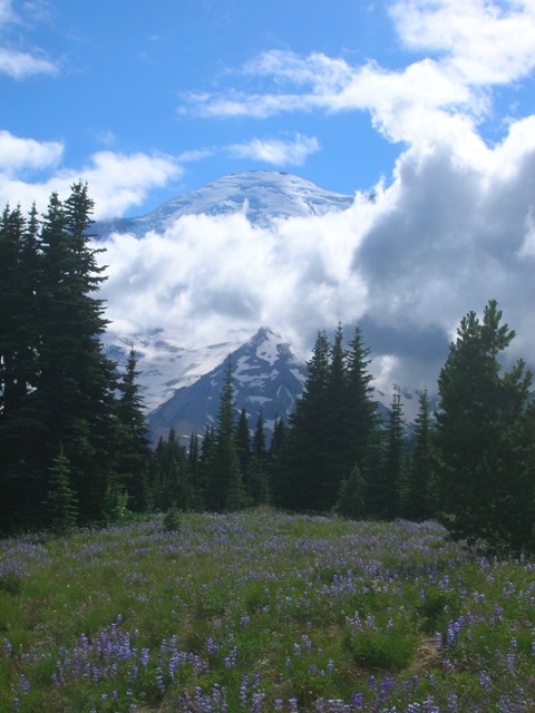 THE best mountain out there, and it is ours! Don't forget it! Isn't it BEAUTIFUL?!