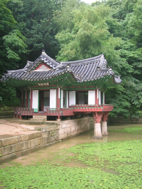 A peaceful sight amidst the hubbub of Seoul, South Korea.