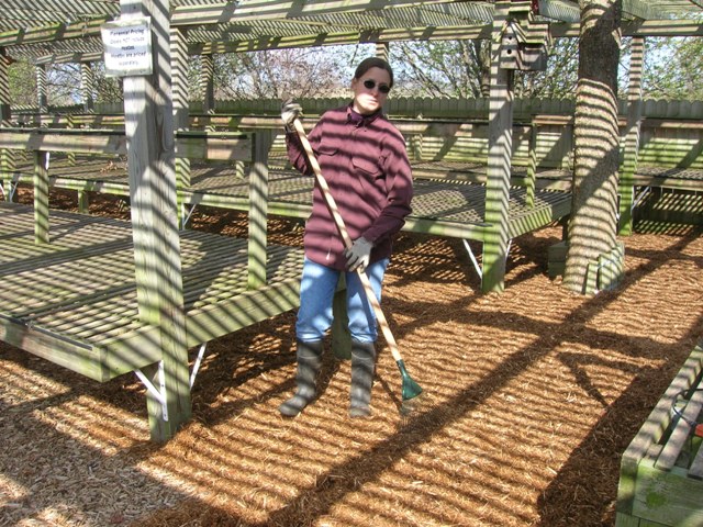 Lindsay spreading mulch in our shade sales area before we open for the season. She hates that stuff!